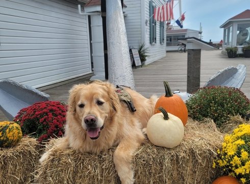Fall Photo Opportunity at OCLSSM