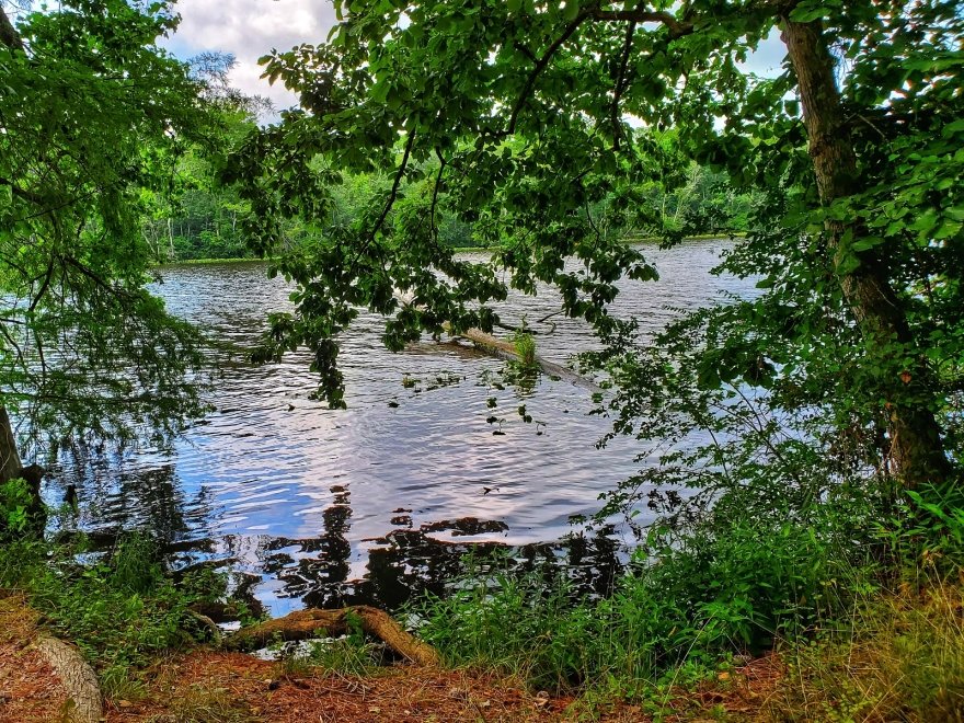 Pocomoke River State Park: Milburn Landing