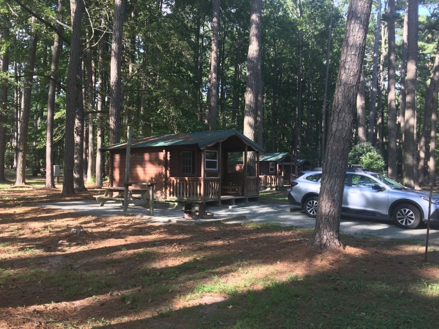 Pocomoke River State Park: Milburn Landing