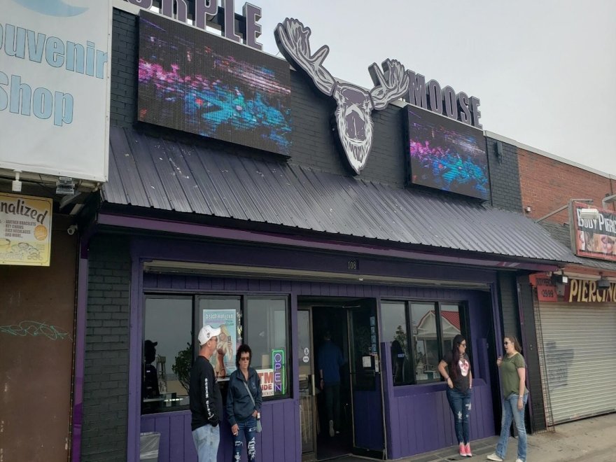 Purple Moose Saloon