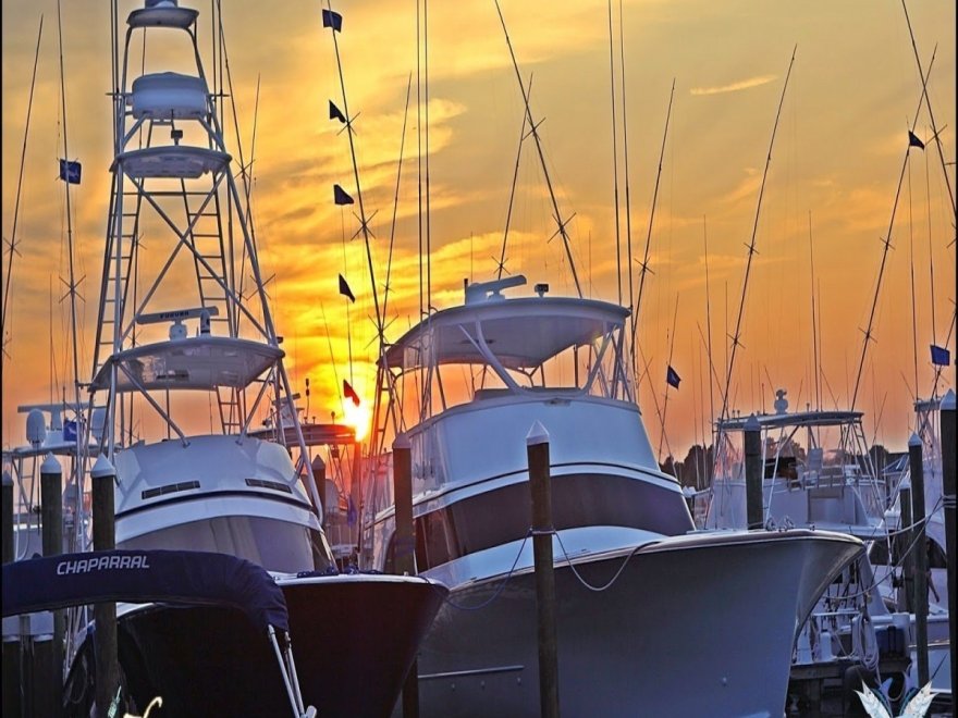 Sunset Marina