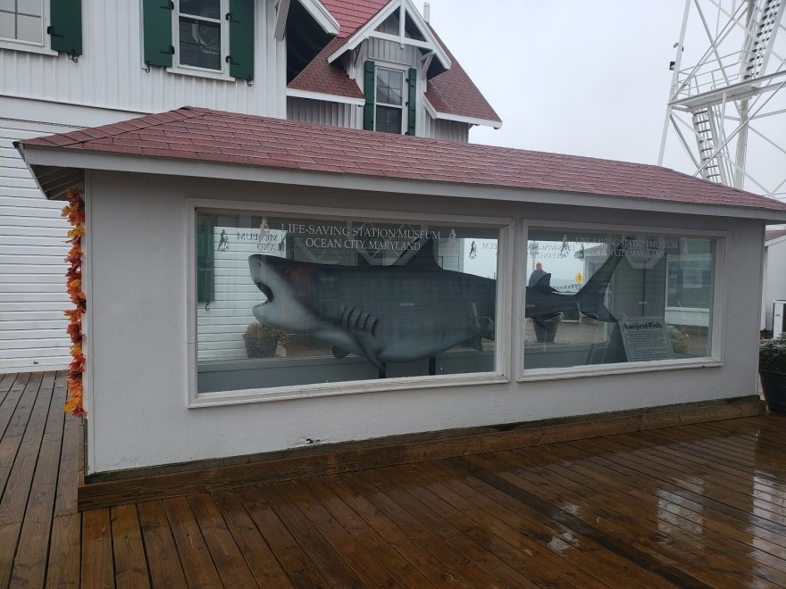 Ocean City Life-Saving Museum