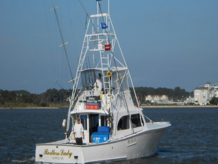 Restless Lady Charters