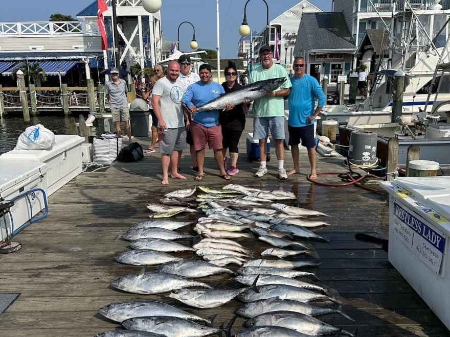 Restless Lady Charters