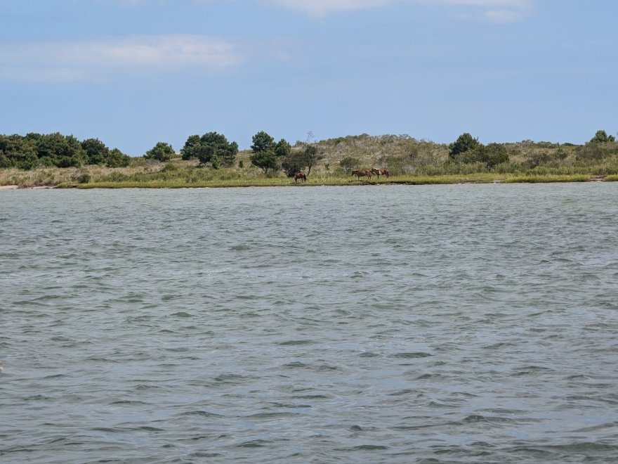 Tortuga Bay Fishing