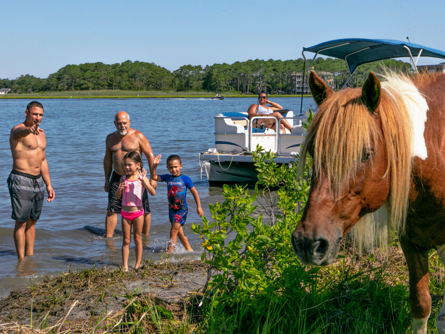 Under The Bridge Watersports - Jet Ski & Pontoon Boat Rentals