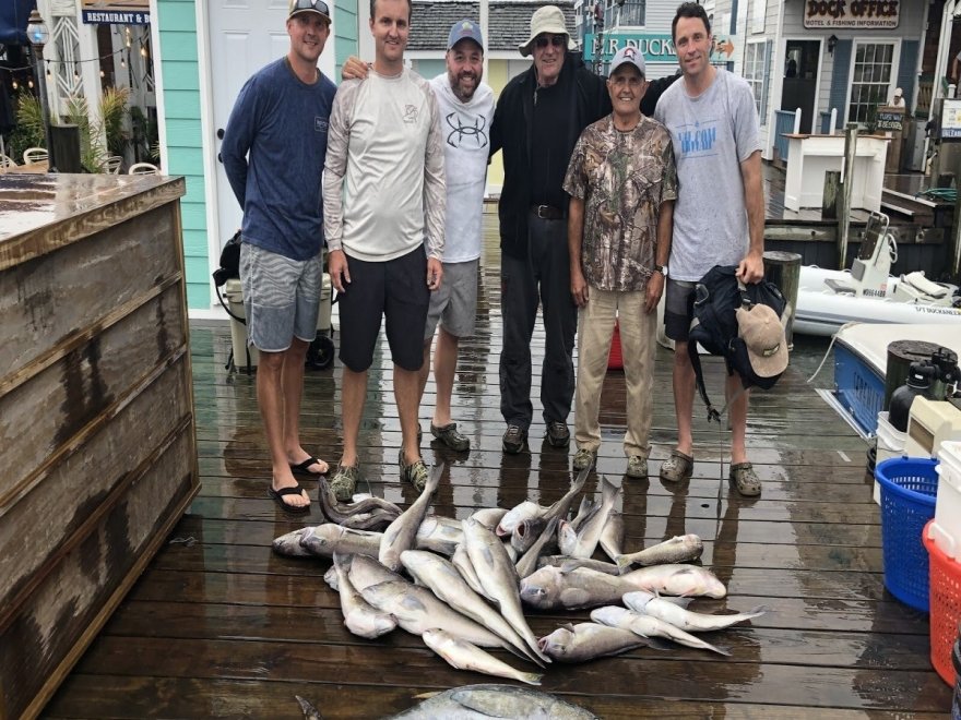 Fin Chaser Sportfishing Charters