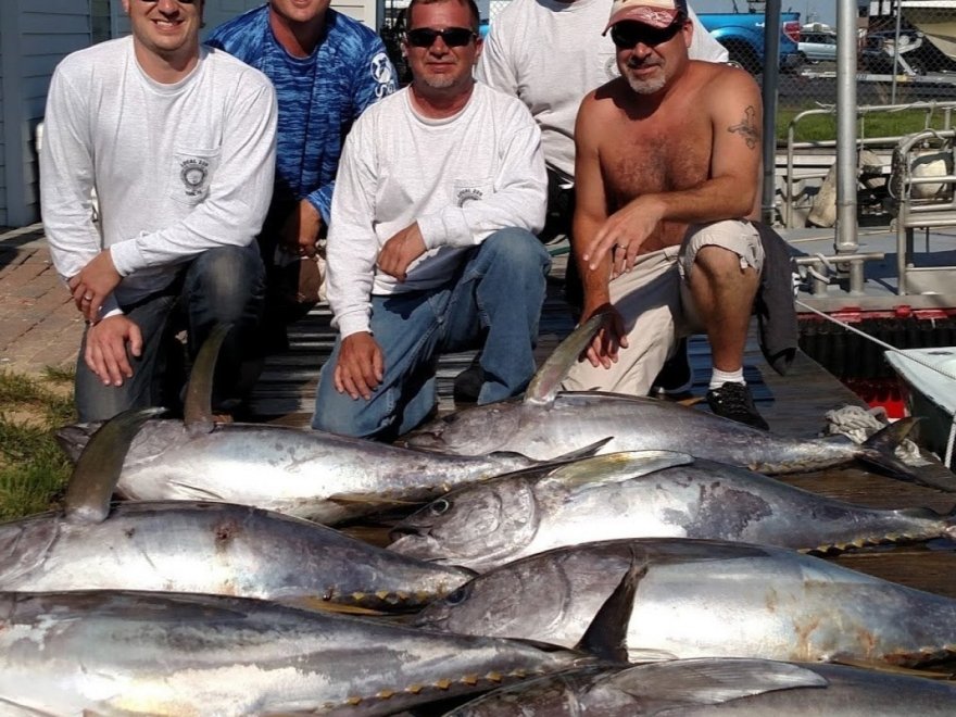 Fin Chaser Sportfishing Charters