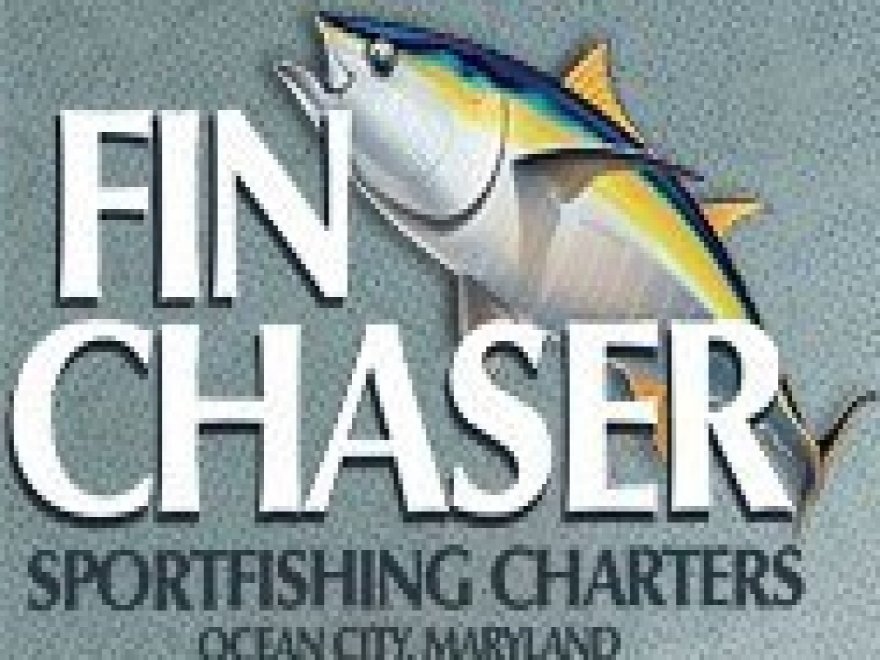 Fin Chaser Sportfishing Charters