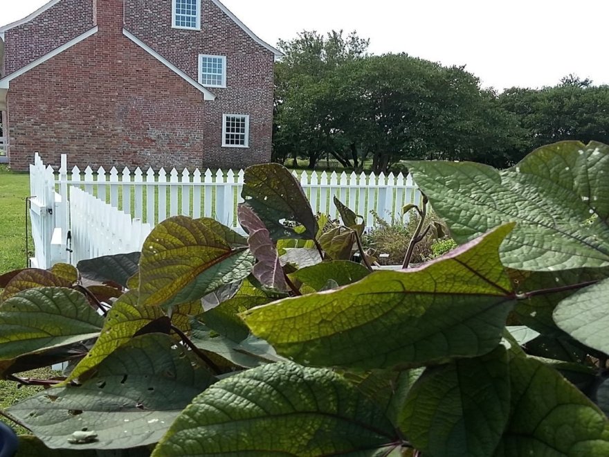 Rackliffe Plantation House