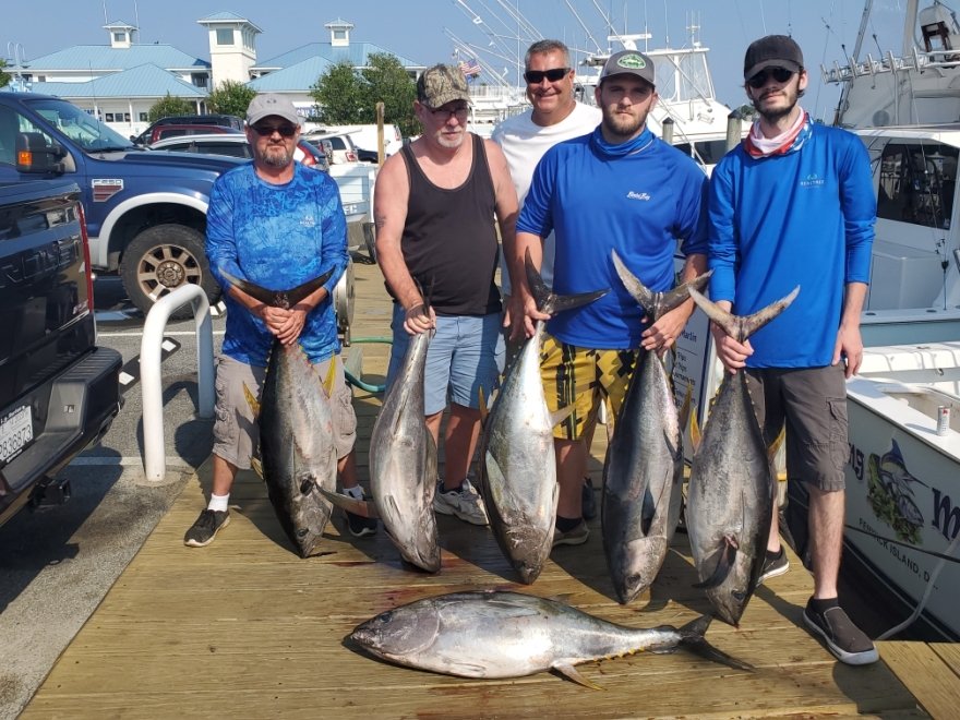 Spring Mix Charters