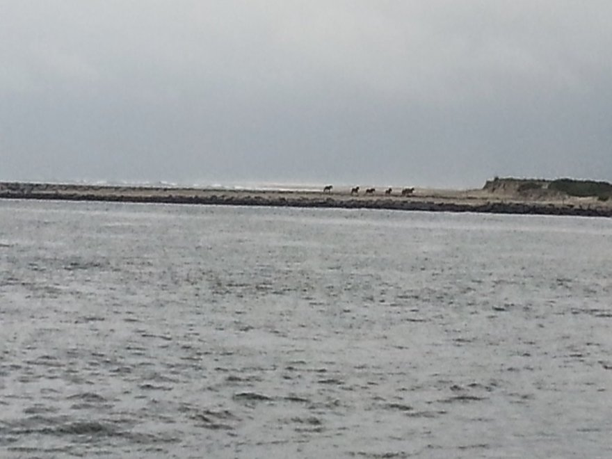 Oceanic Fishing Pier