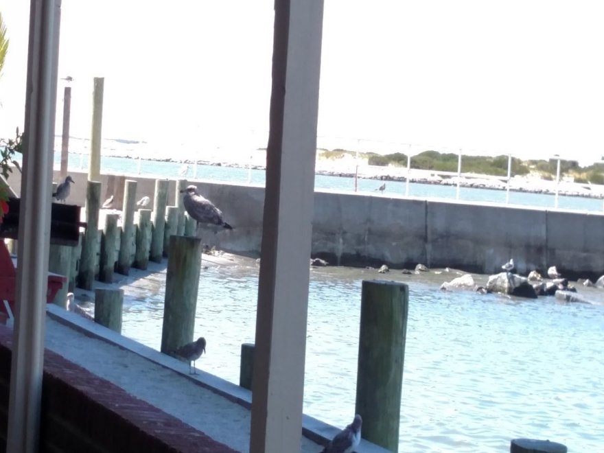 Oceanic Fishing Pier