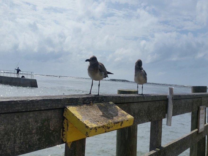 Oceanic Fishing Pier