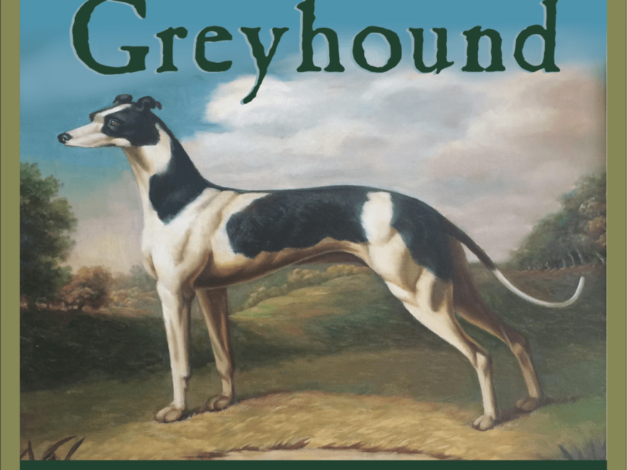 The Greyhound - An Indie Bookstore