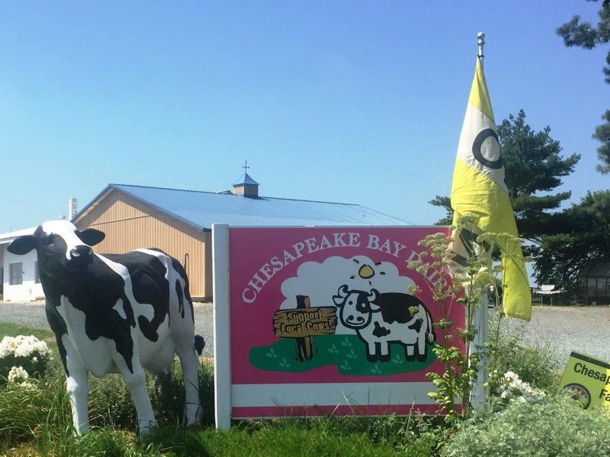 Chesapeake Bay Farms