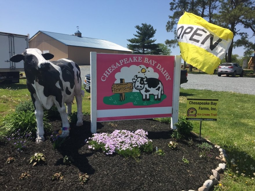 Chesapeake Bay Farms