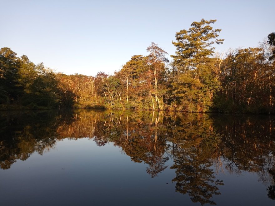 Pocomoke River State Park: Shad Landing