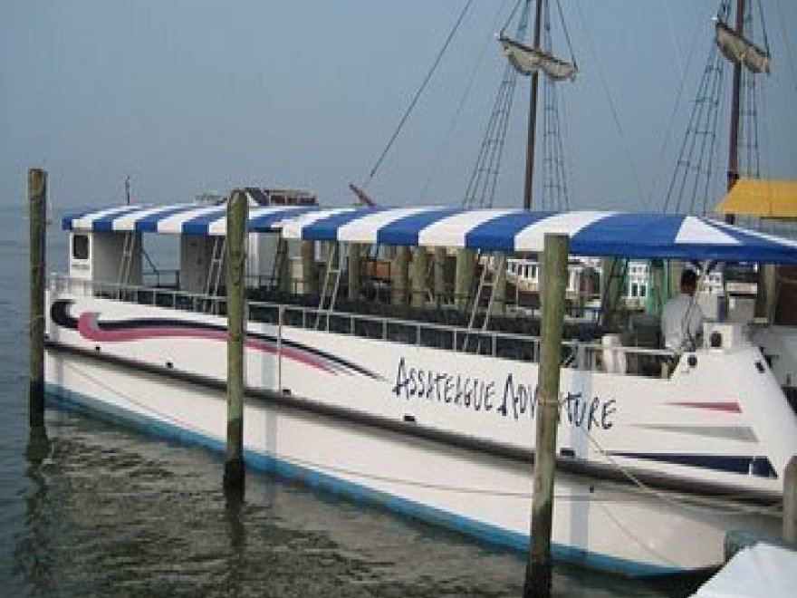 Assateague Adventure Cruises