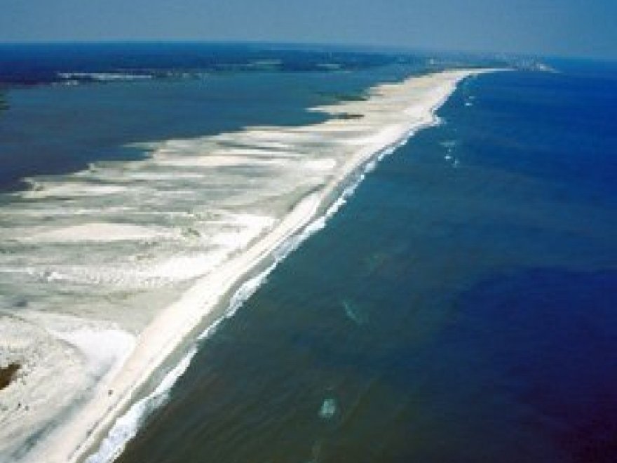 Assateague Adventure Cruises