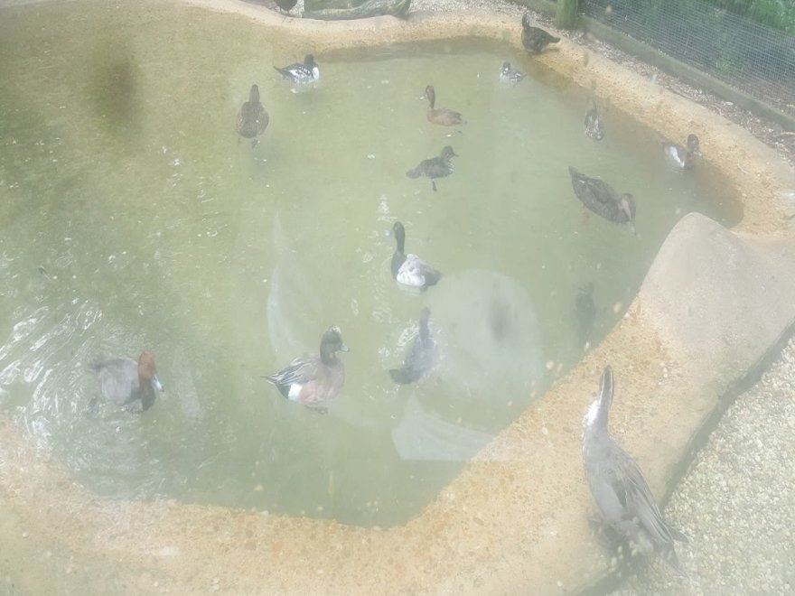 Salisbury Zoological Park