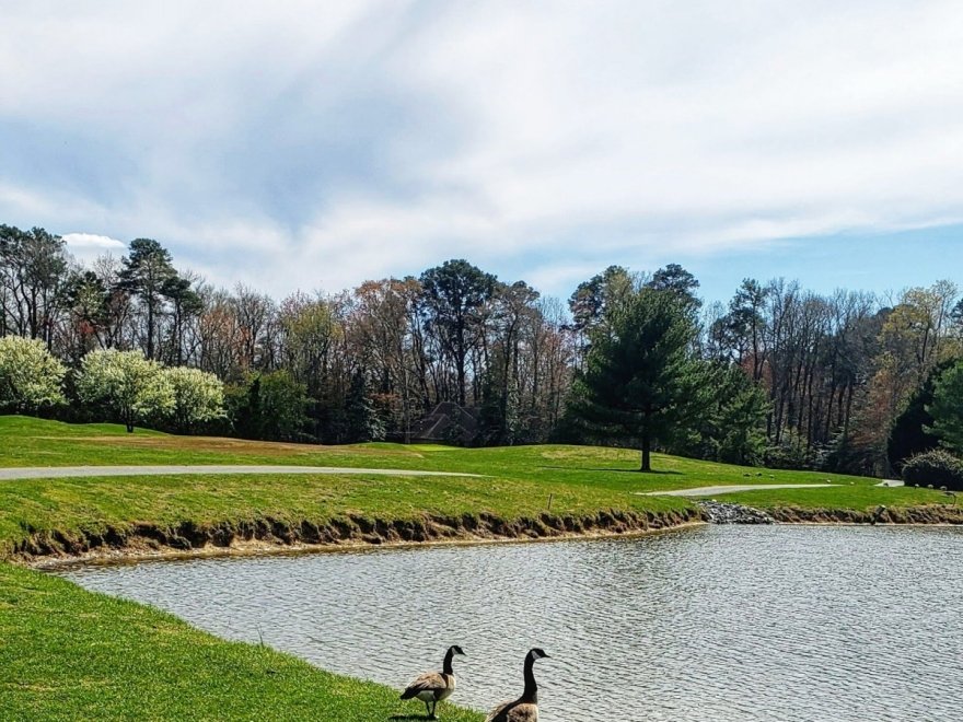 Nutter's Crossing Golf Course