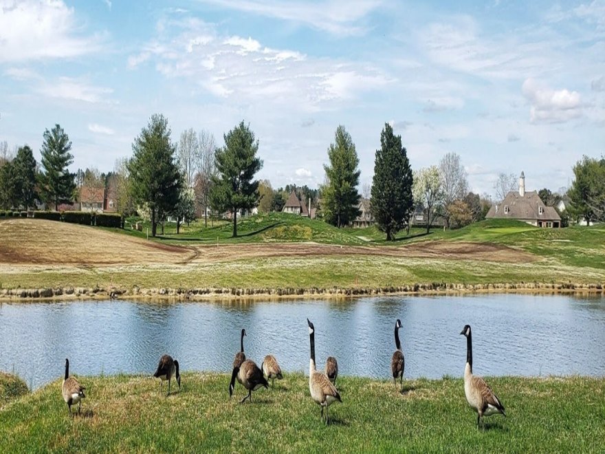 Nutter's Crossing Golf Course
