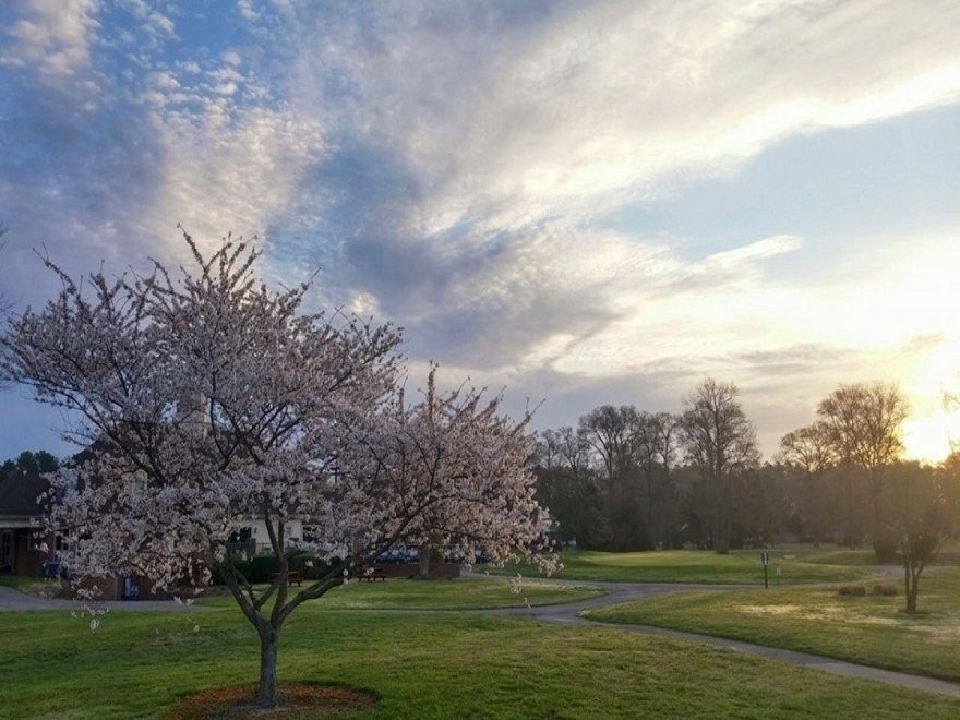 Nutter's Crossing Golf Course