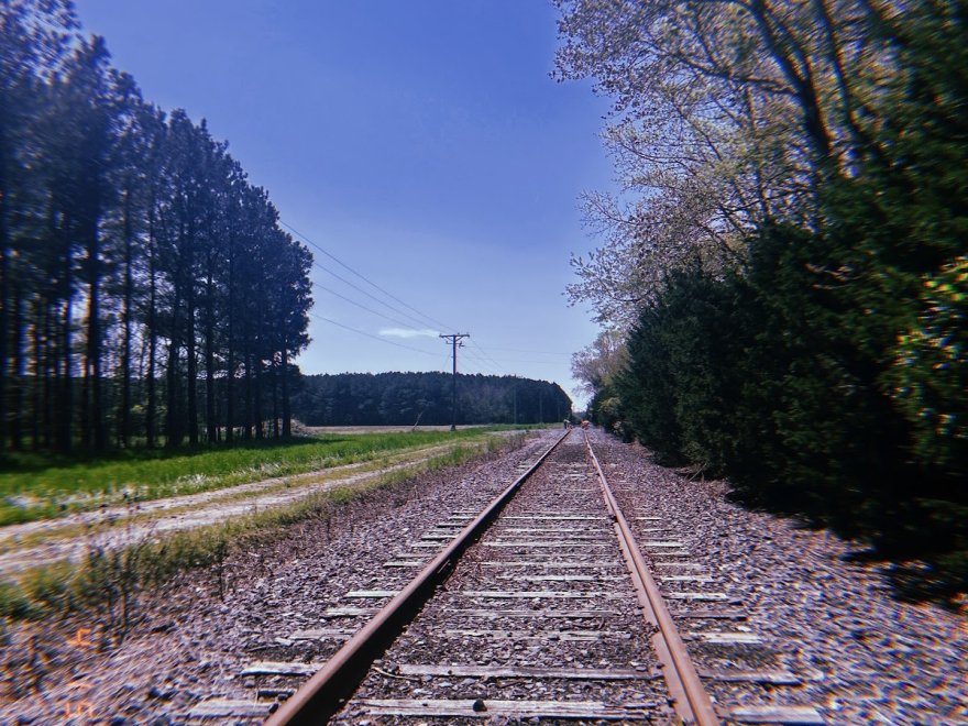 Tracks and Yaks