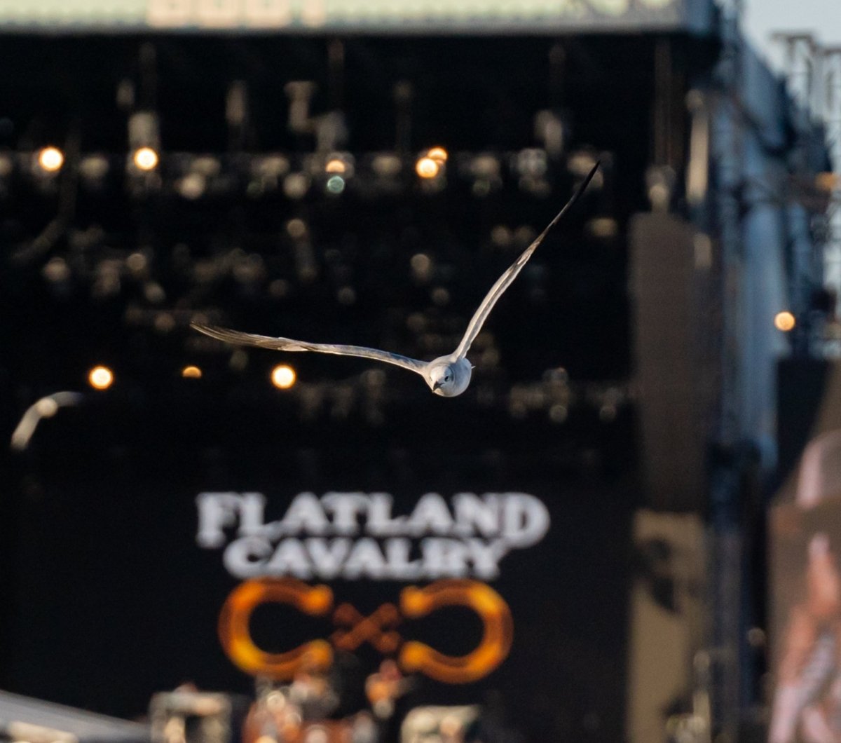 Country Calling Flatland Calvary at Country Calling