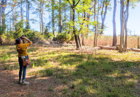 Spend Your Birding Era on Maryland’s Coast