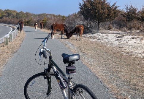Spend Time Biking Along Maryland’s Coast This Season